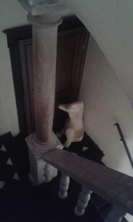 Affittacamere Bed And Breakfast San Lorenzo Genova Exterior foto